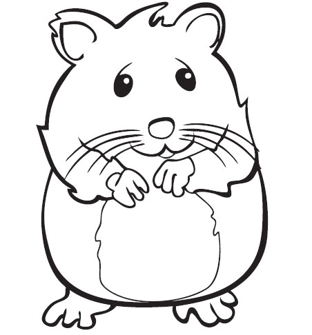 hamster coloriage colorier