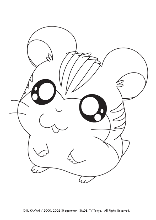 coloriage de hamster russe