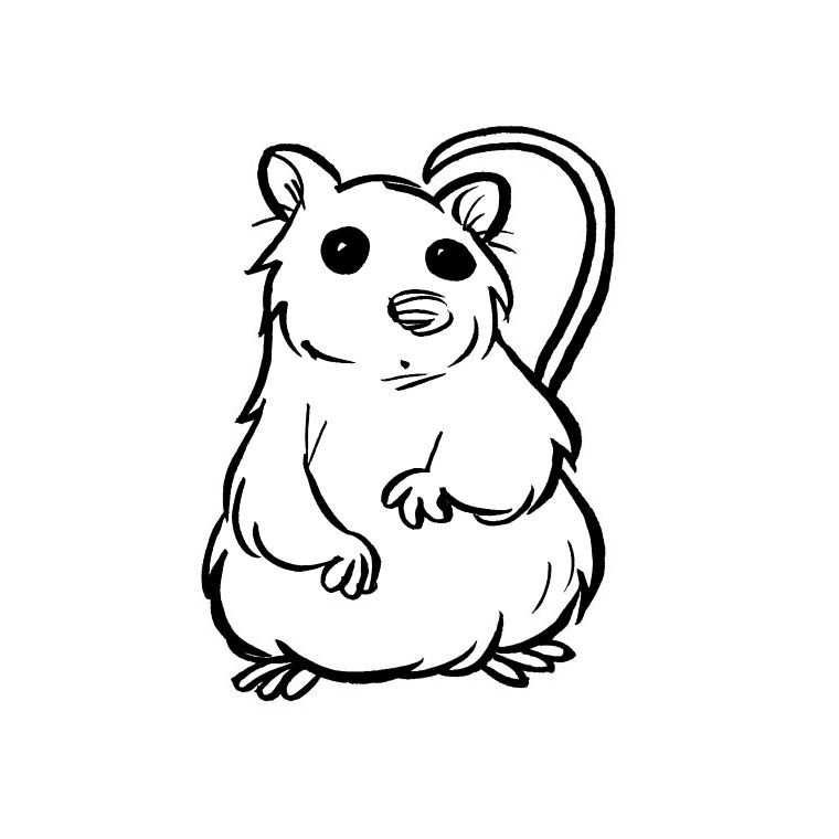 coloriage animé avec un hamster