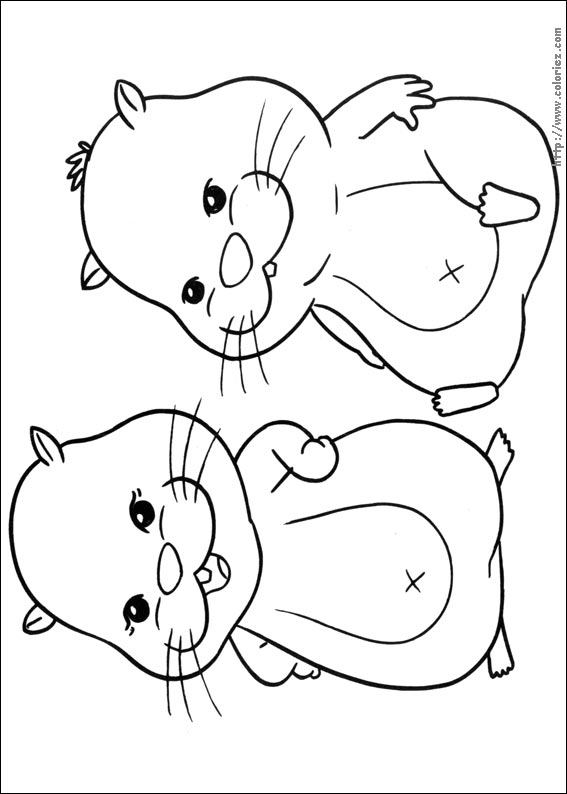 dessin hamster à colorier