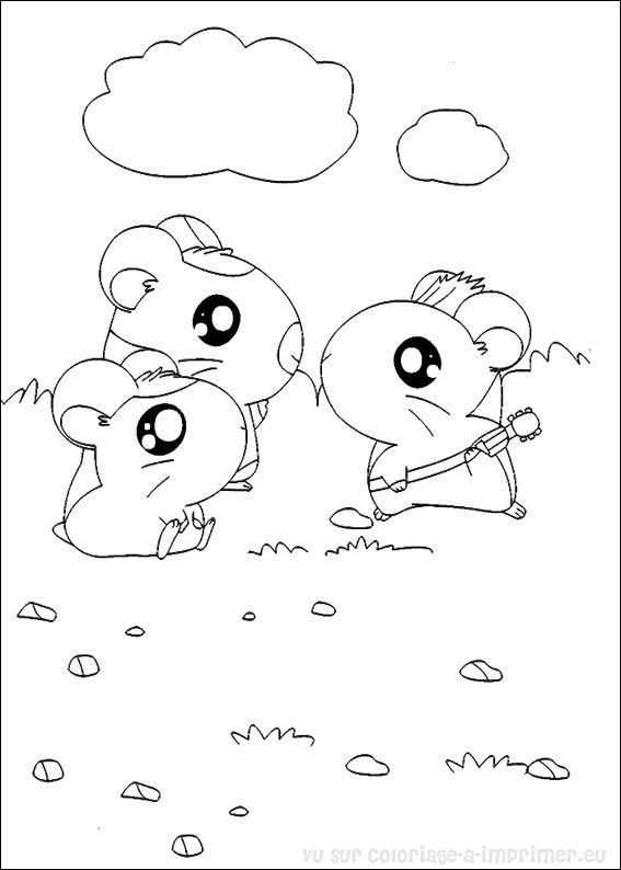 coloriage hamster hamtaro