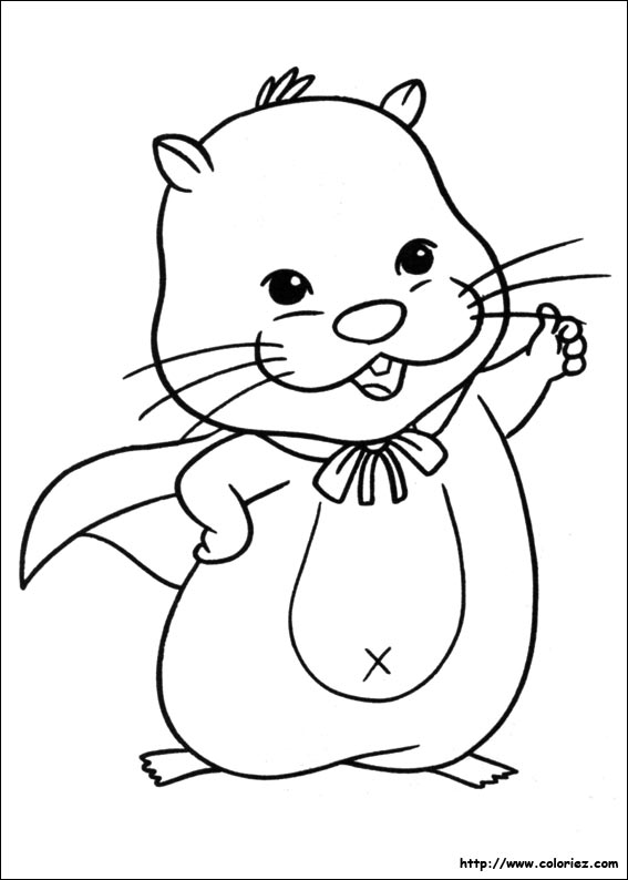 coloriage master hamster