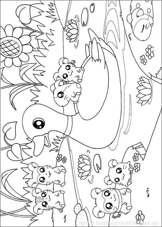 Coloriage Hamsters Imprimer