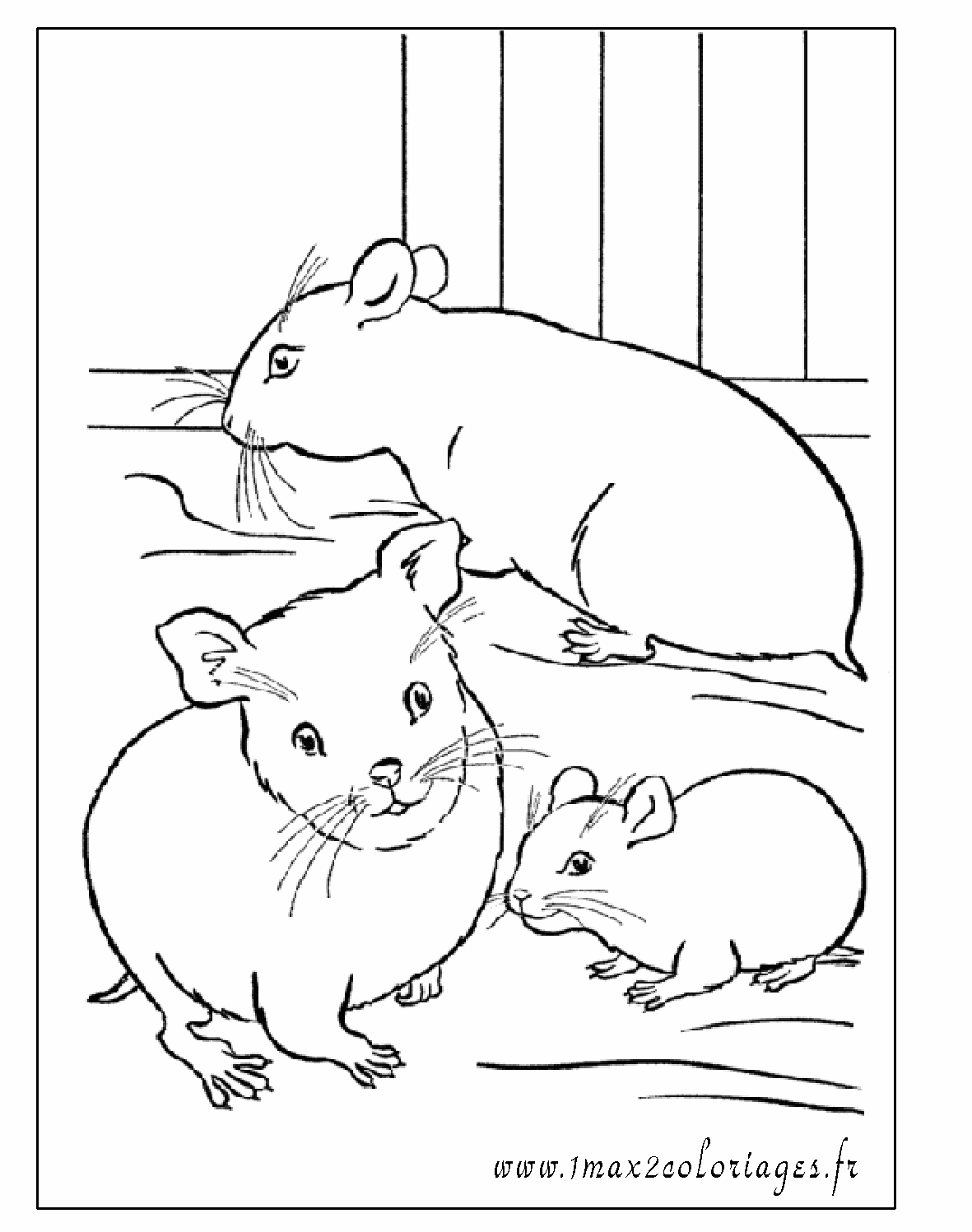 coloriage de hamster sur hugo l'escargot