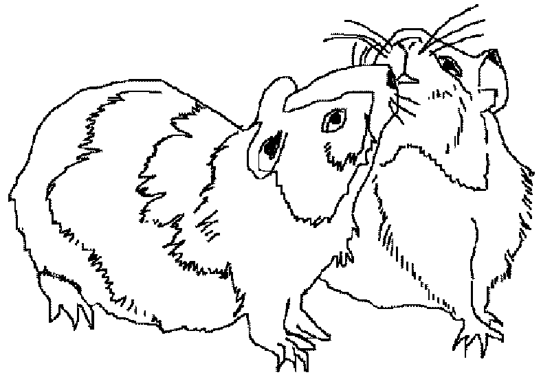 jeu de dessin de hamster