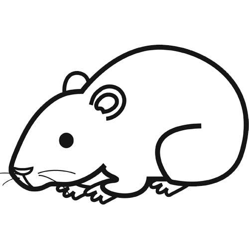 coloriage de hamster nain