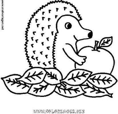 Coloriage A Dessiner De Herisson Gratuit