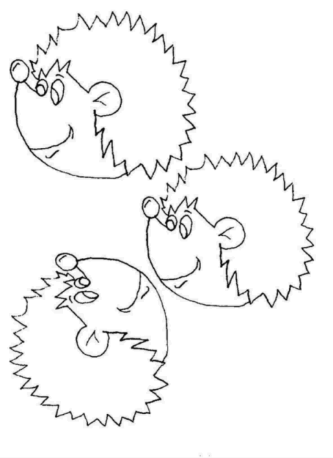 Coloriage Hérisson à colorier - Dessin à imprimer coloriage de hérisson à imprimer