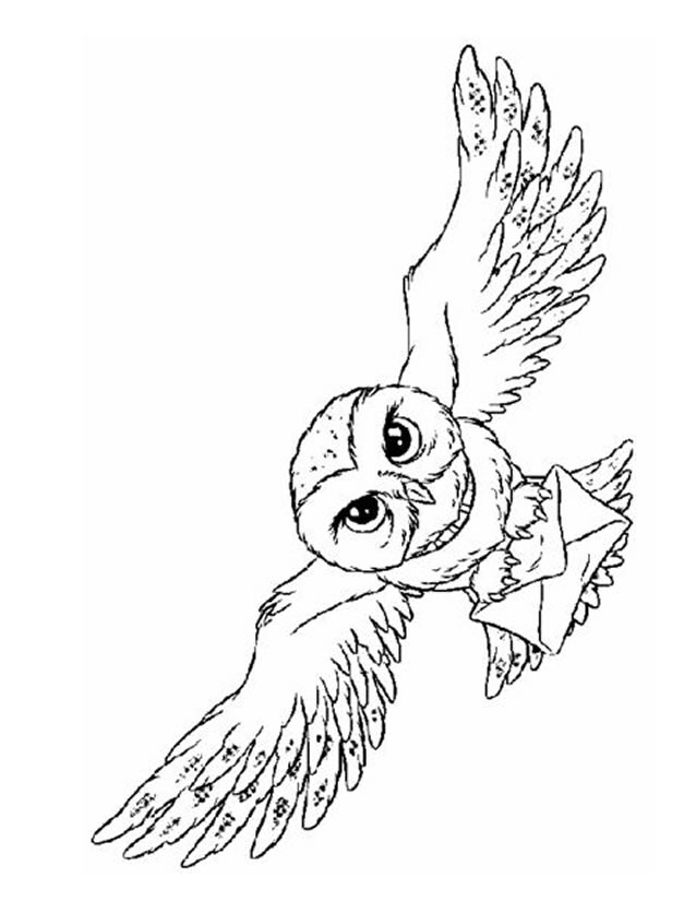 dessin à colorier hibou grand duc