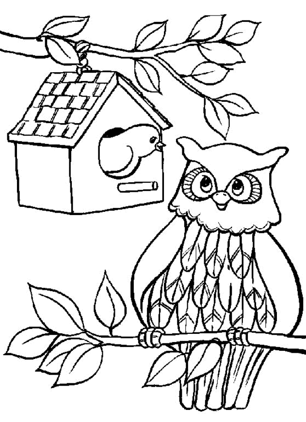 coloriage à dessiner hibou mignon