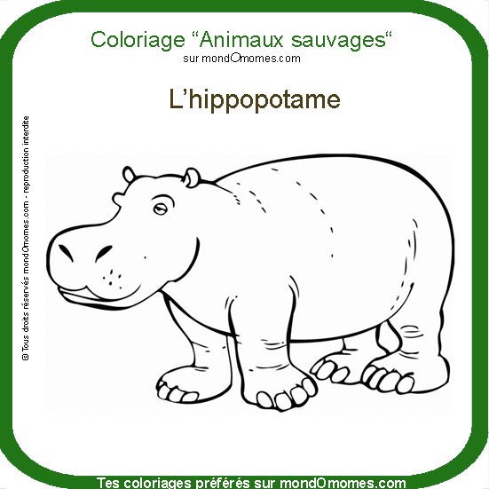 dessin dessin  colorier hippopotame