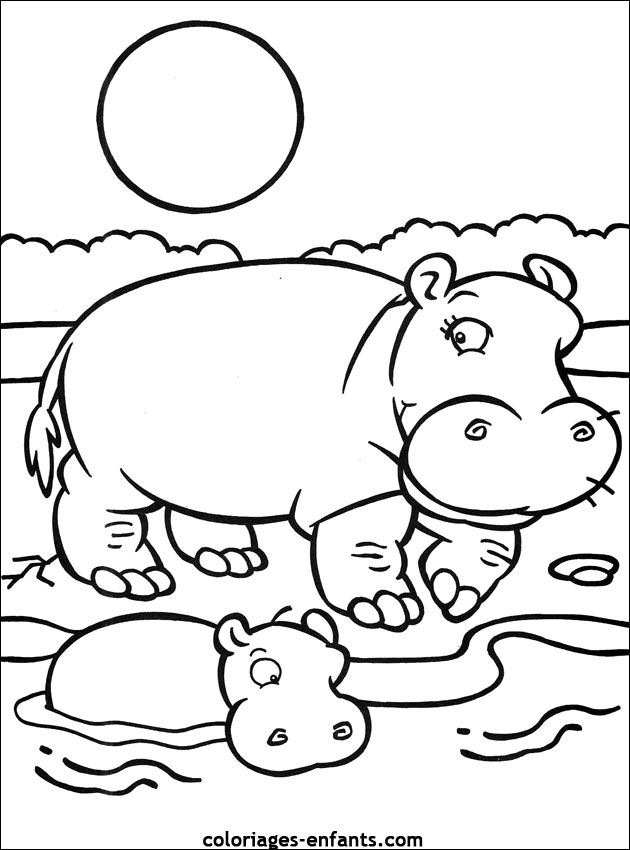 dessin hippopotame en ligne