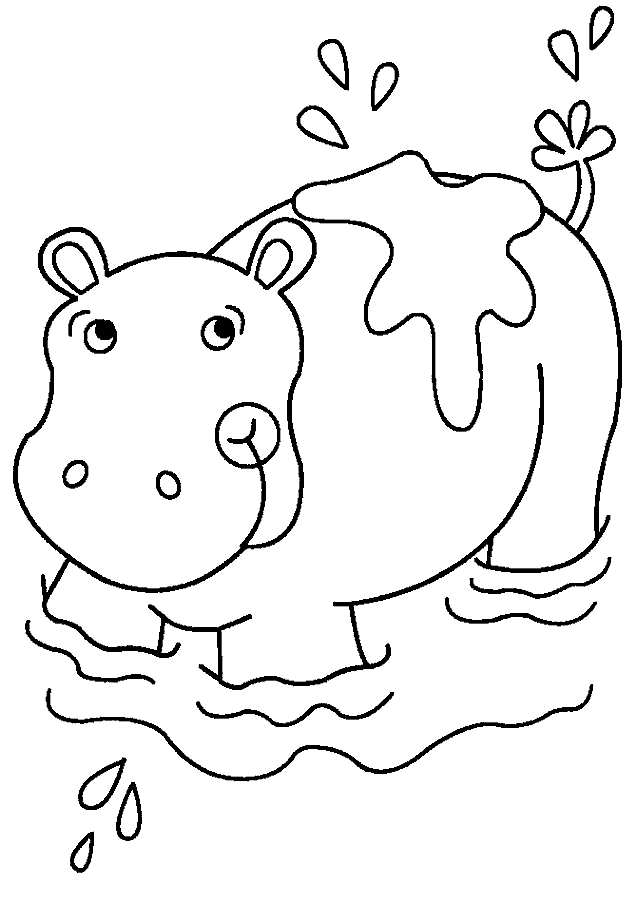 dessin magique hippopotame