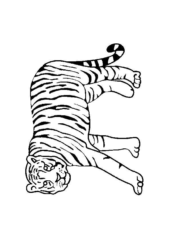 dessin à colorier zebre hugo l'escargot