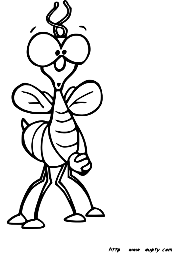 coloriage insectes jardin