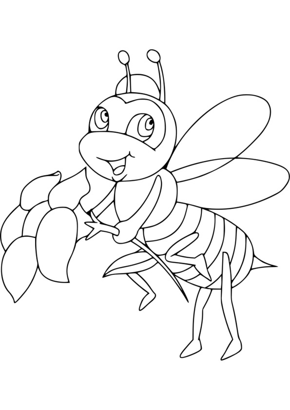 dessin plusieurs insectes