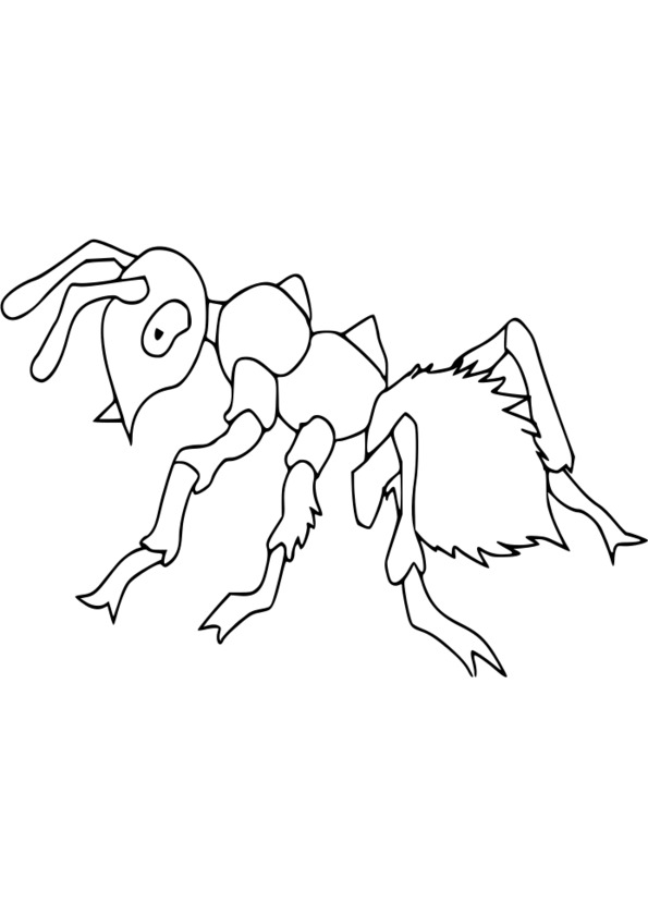 dessin insectes à imprimer