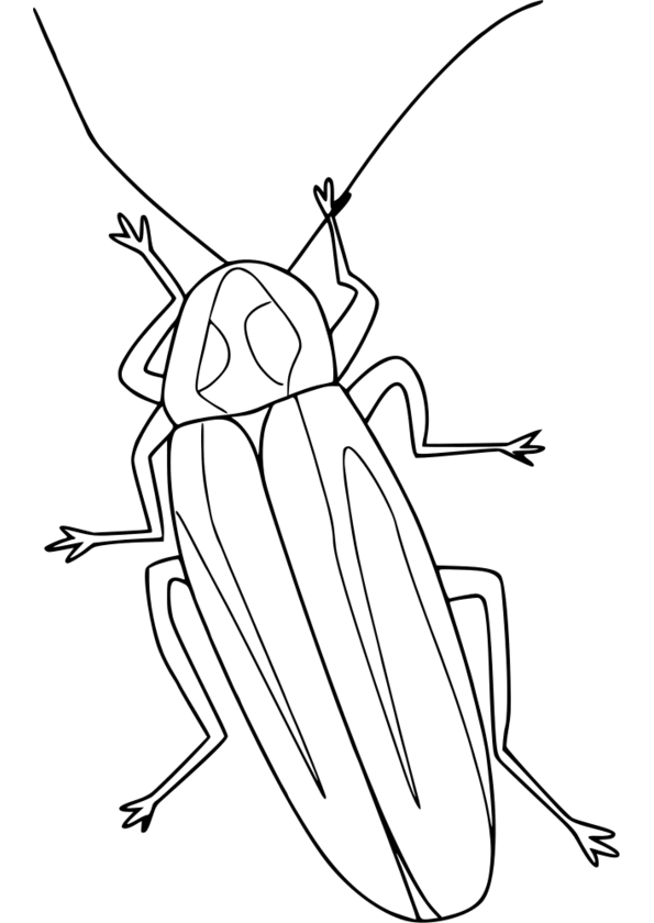 coloriage à dessiner insectes rigolos