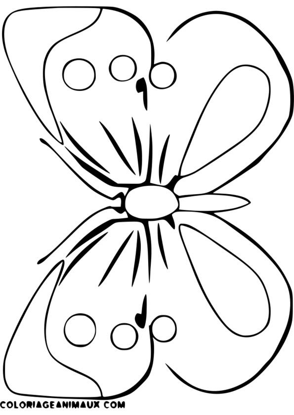 dessin insecte en ligne
