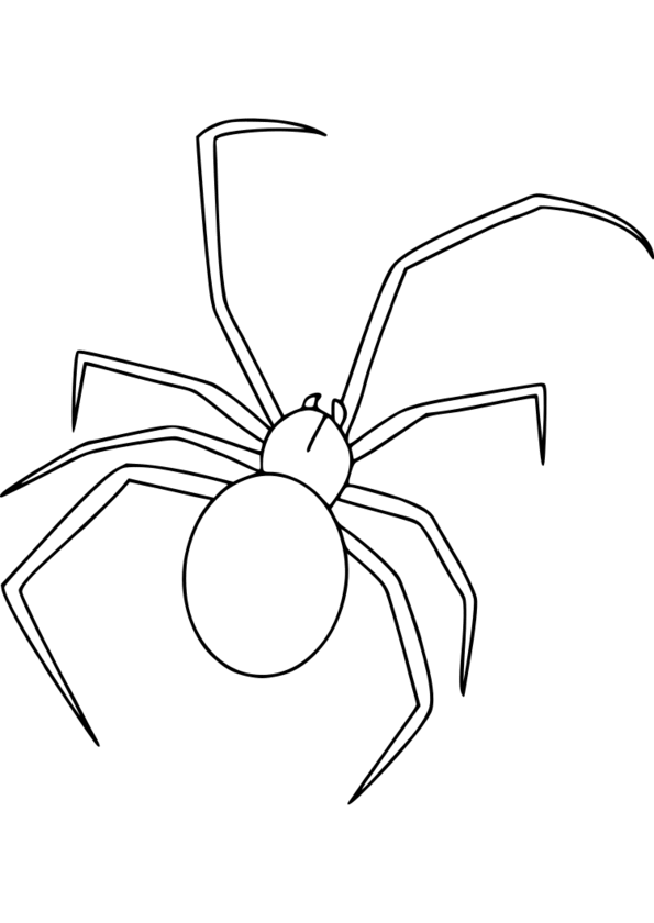 dessin insectes coloriage n