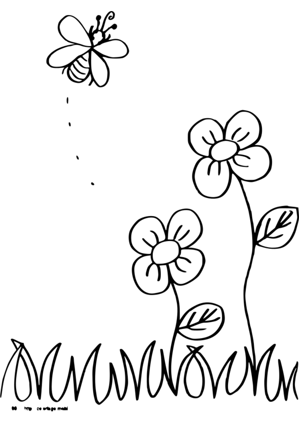 coloriage   dessiners insectes printemps Voir le dessin