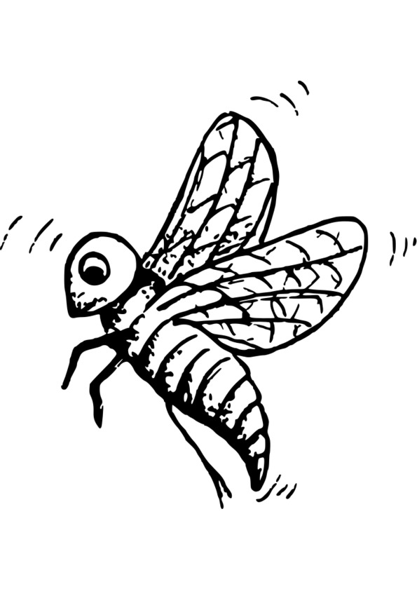 coloriage à dessiner insecte a imprimer gratuit