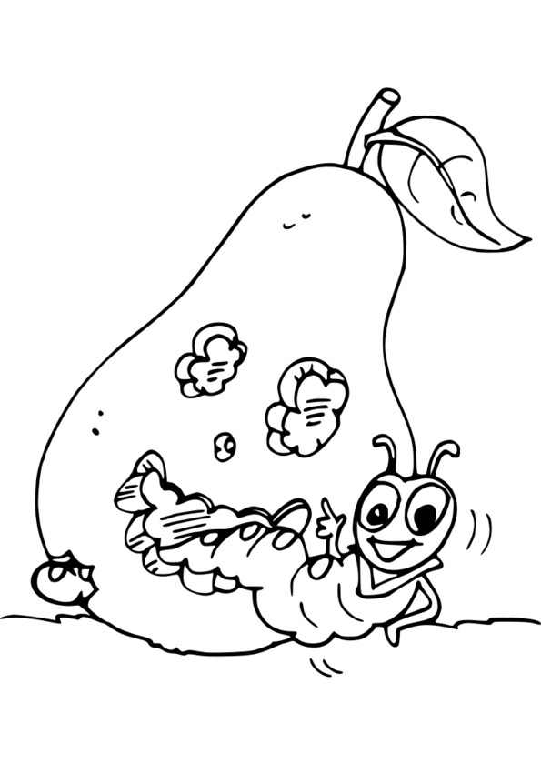 dessin codé insecte