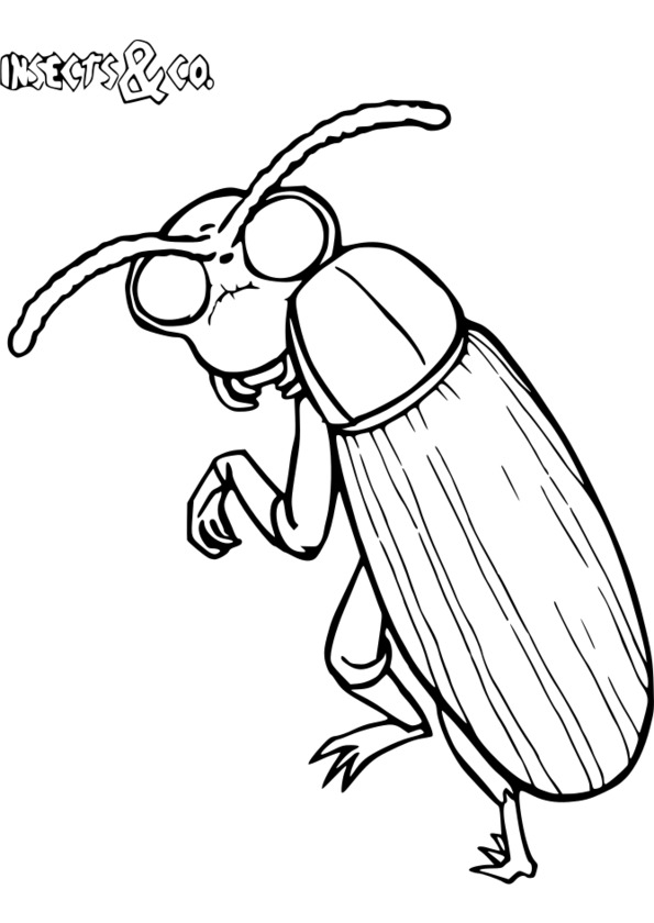 coloriage insecte gratuit