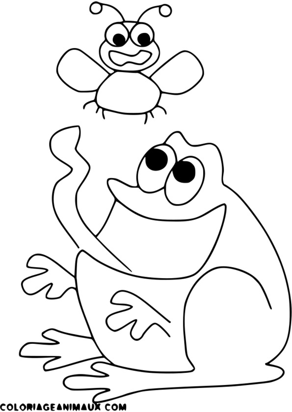 coloriage d'insecte