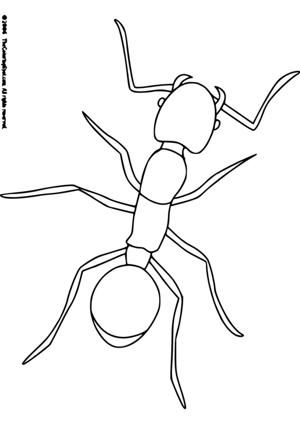 coloriage à dessiner les insectes