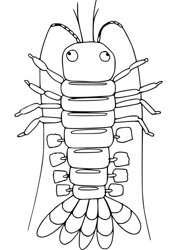 coloriage à dessiner à imprimer insectes