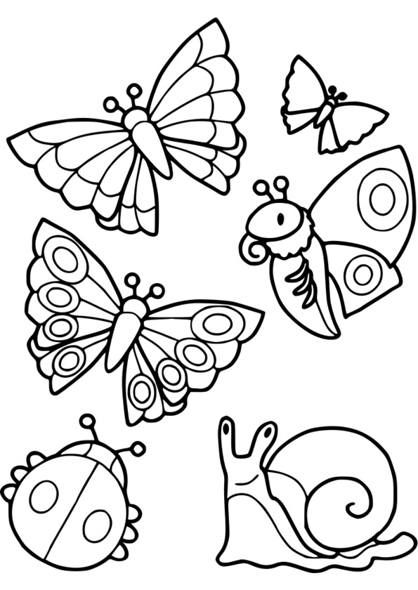 dessins insectes maternelle