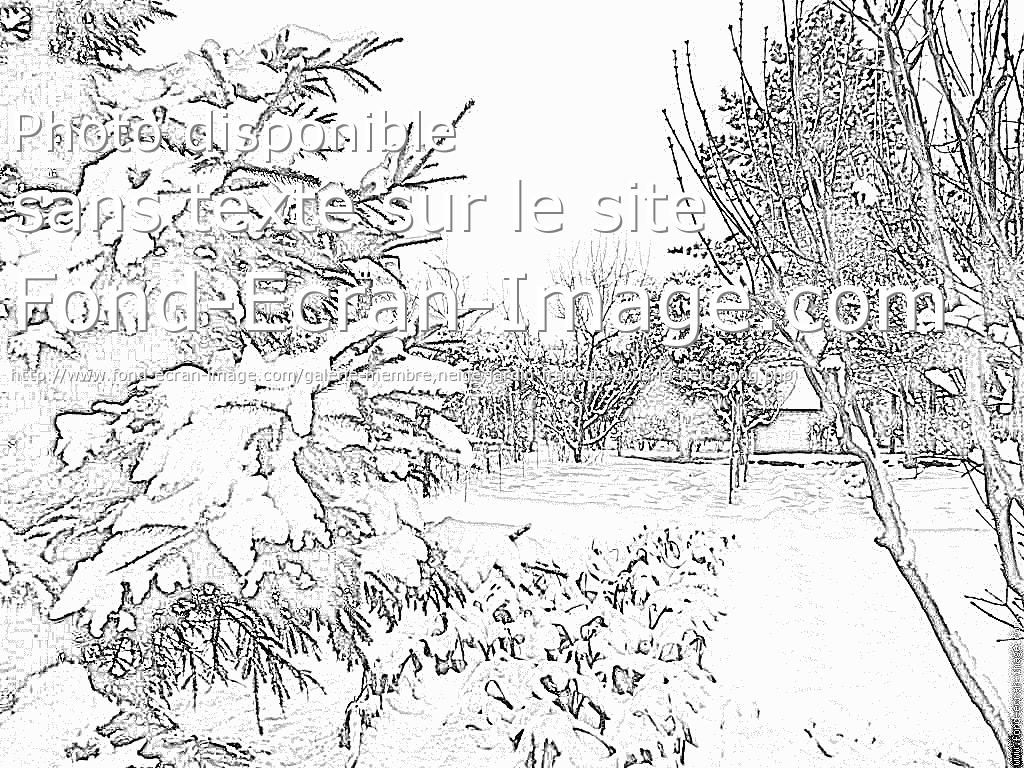 coloriage à dessiner jardin japonais