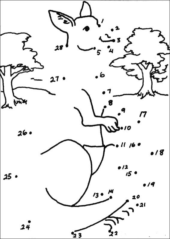 dessin kangourou australie