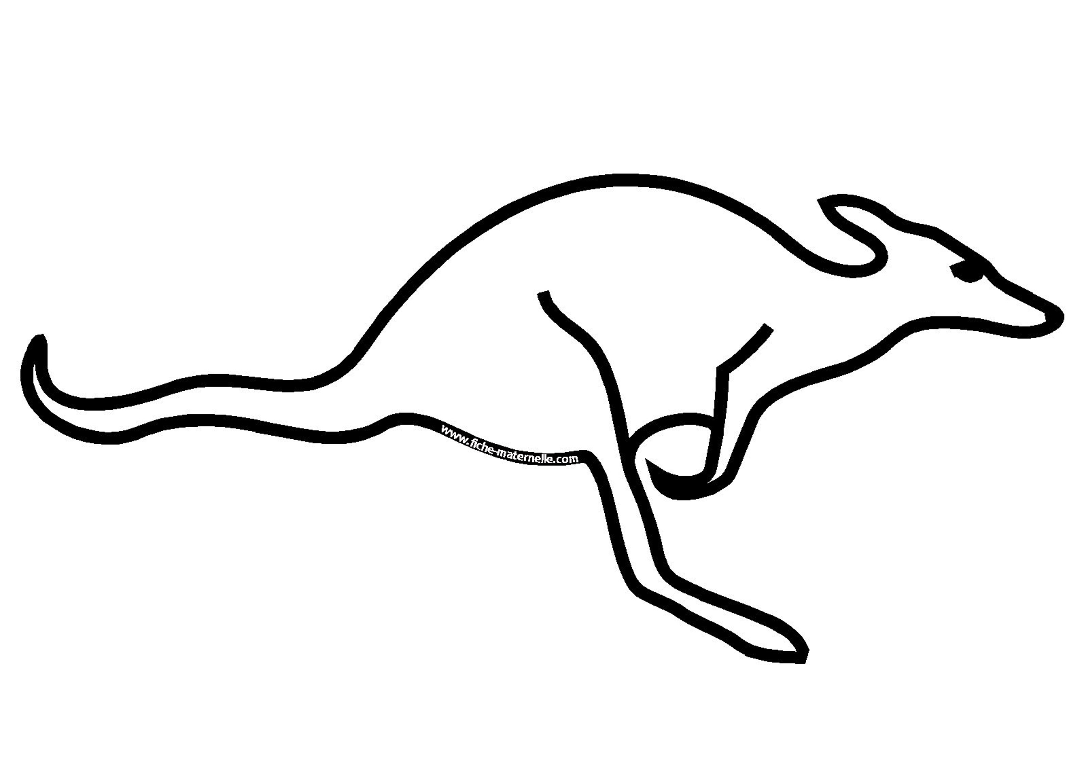 dessin à colorier kangourou