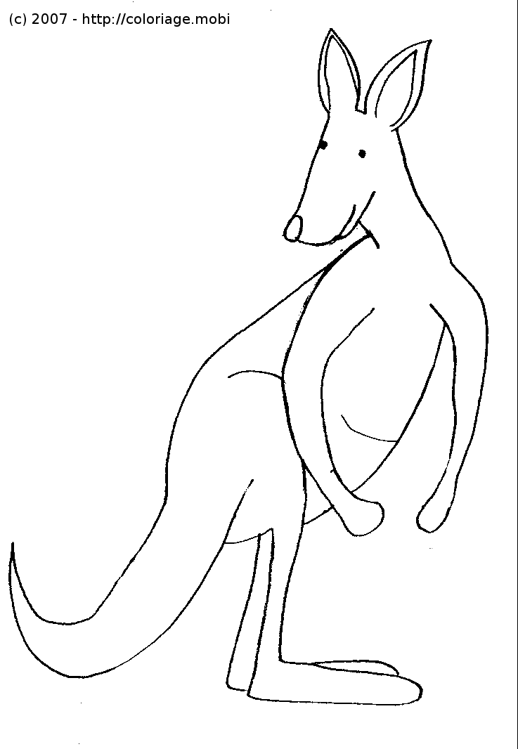 dessin � coloriers gratuits kangourous
