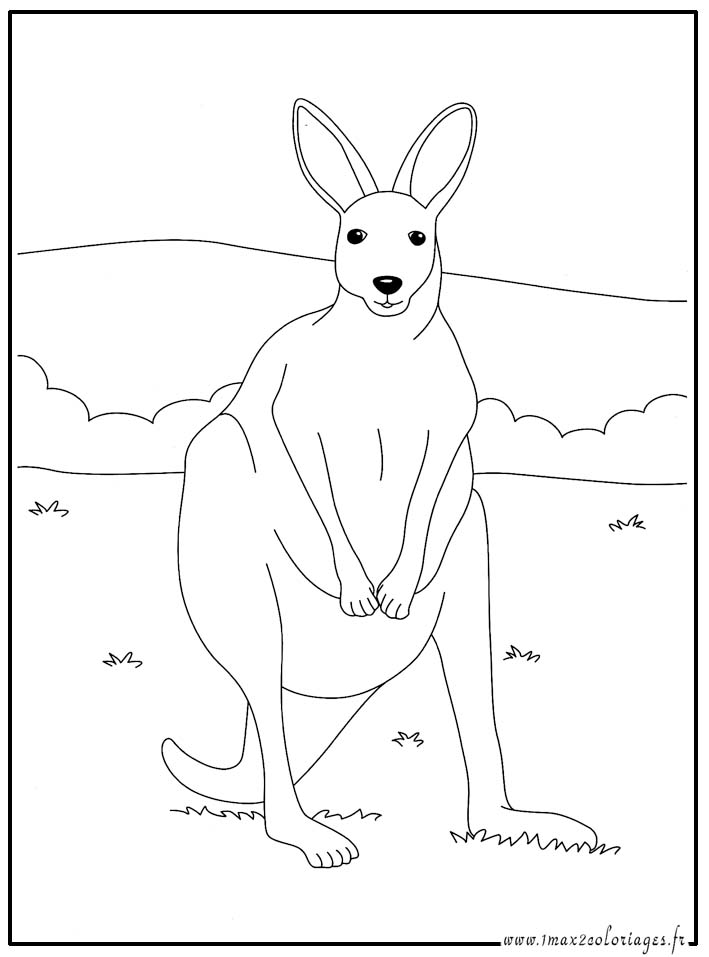 coloriage � imprimer kangourou