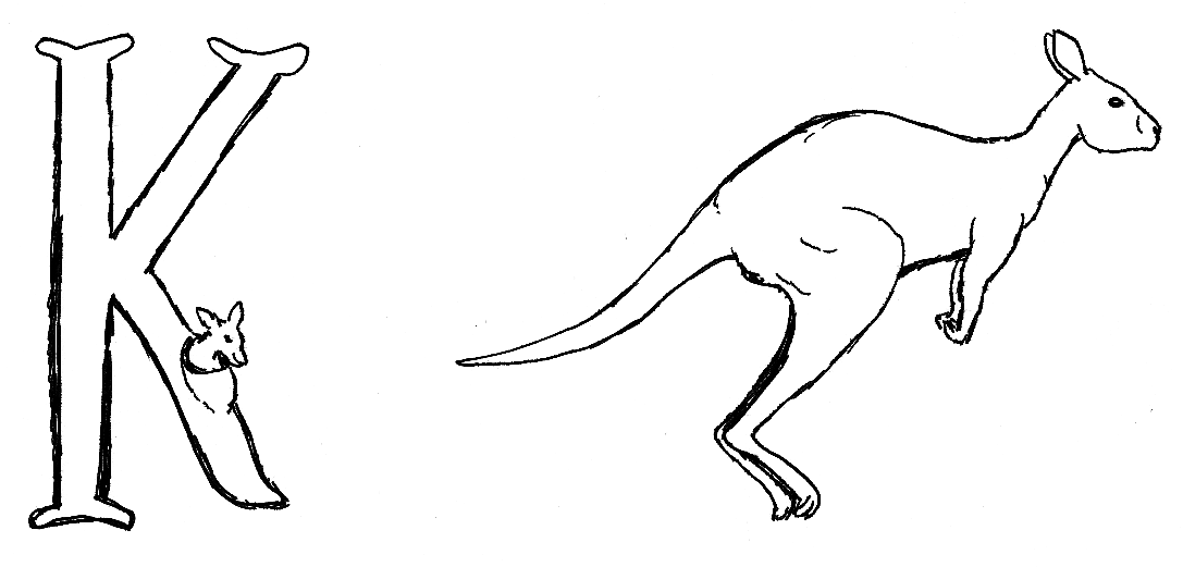 coloriage à dessiner de kangourou