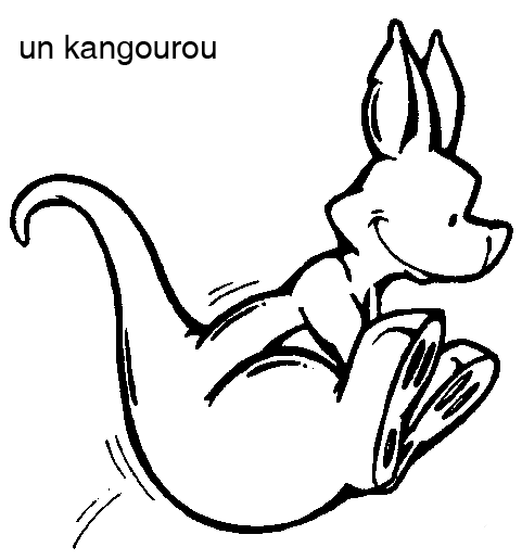 dessin kangourou a imprimer gratuit