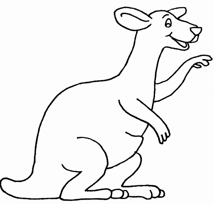 coloriage à dessiner kangourou petshop