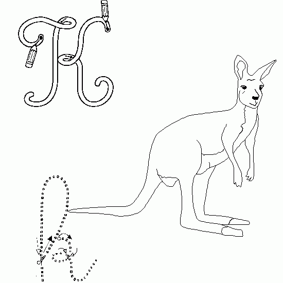 coloriage � dessiner animaux kangourou