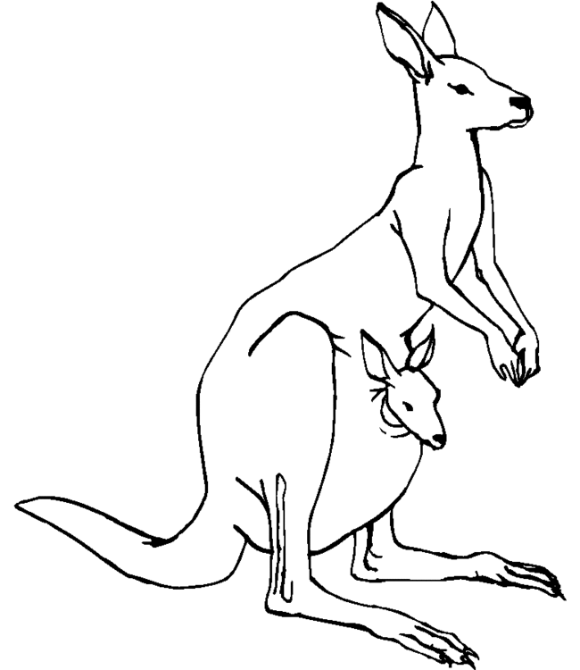 dessin  colorier kangourou en ligne
