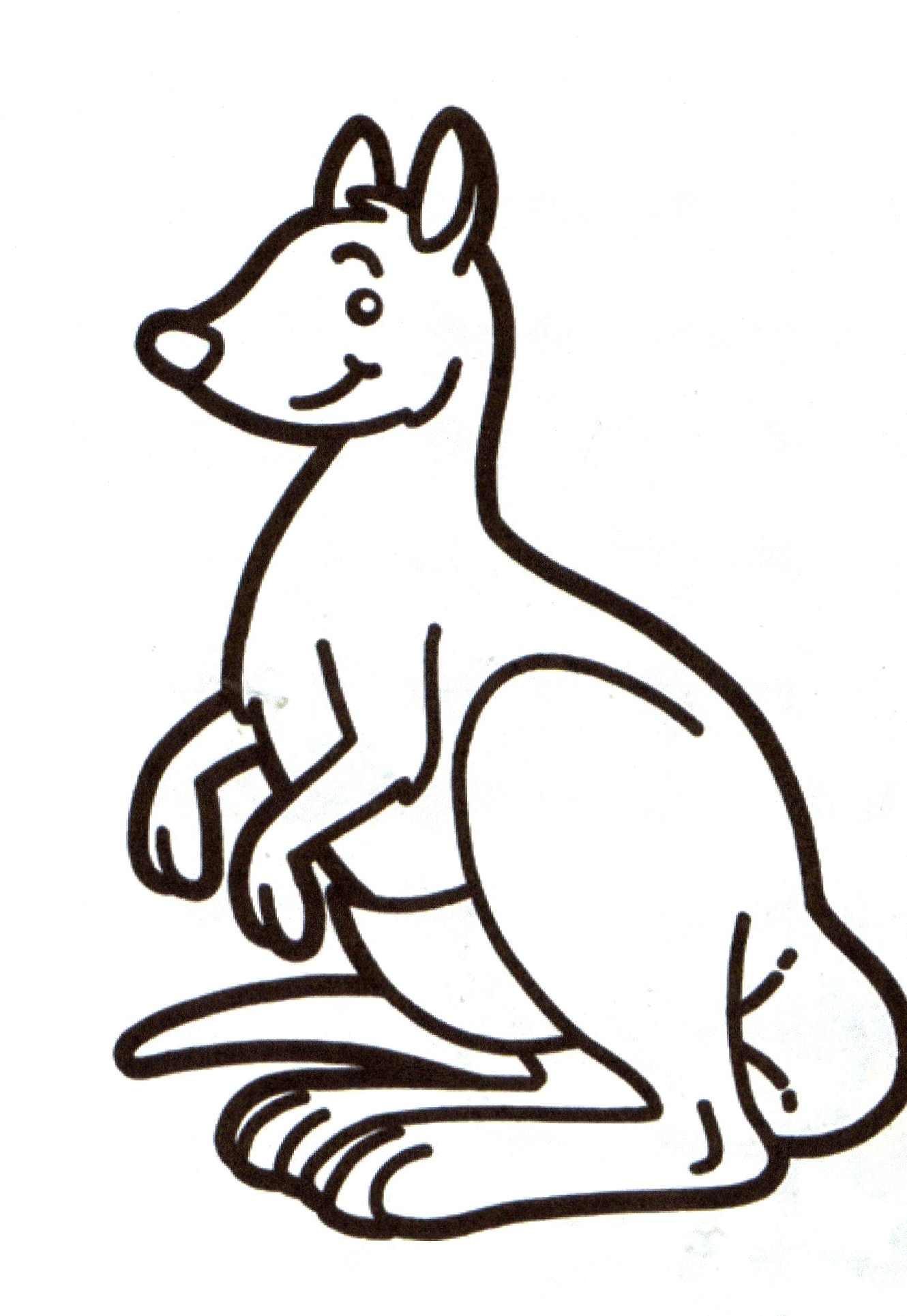 dessin de kangourou