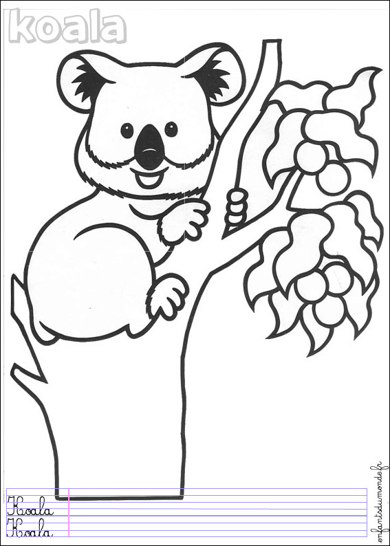 coloriage à dessiner petshop koala