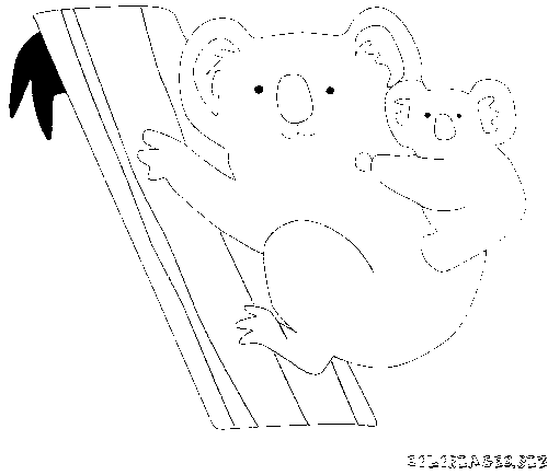 dessin magique koala