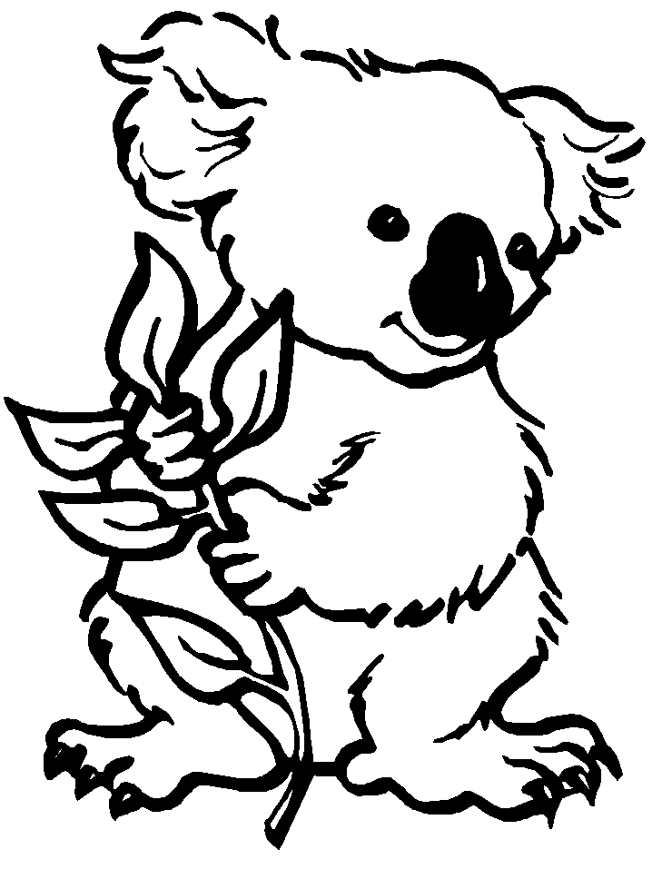 dessin masque koala