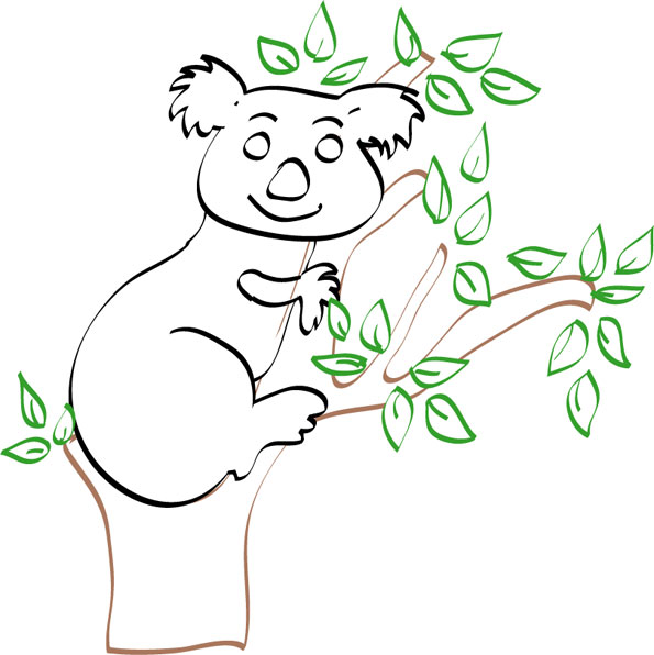 dessin bébé koala