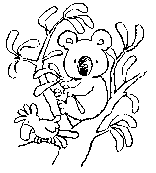 coloriage à dessiner magique koala