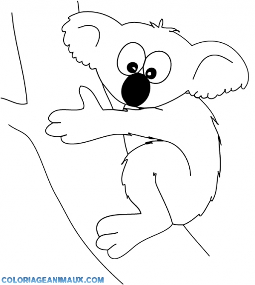 coloriage de koala hugo l'escargot