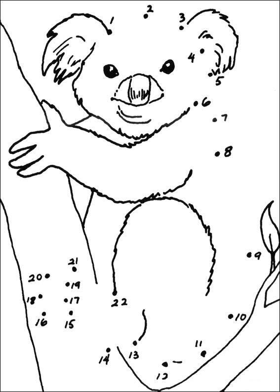 coloriage koala à imprimer